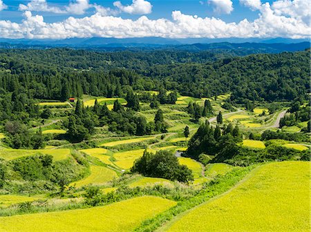 simsearch:859-08357845,k - Niigata Prefecture, Japan Photographie de stock - Rights-Managed, Code: 859-08357844