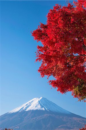 Yamanashi Prefecture, Japan Stock Photo - Rights-Managed, Code: 859-08357944