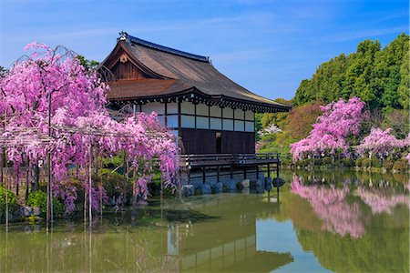 sanctuaire - Kyoto, Japan Photographie de stock - Rights-Managed, Code: 859-08357965