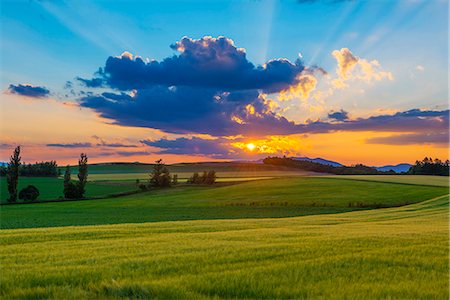 dramatic field - Hokkaido, Japan Stock Photo - Rights-Managed, Code: 859-08358039