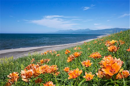 shiretoko peninsula - Hokkaido, Japan Foto de stock - Con derechos protegidos, Código: 859-08358097