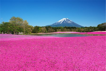 park with pond - Yamanashi Prefecture, Japan Stock Photo - Rights-Managed, Code: 859-08358117