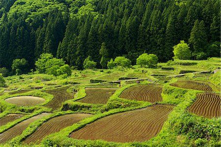 Nagano Prefecture, Japan Stock Photo - Rights-Managed, Code: 859-08358127