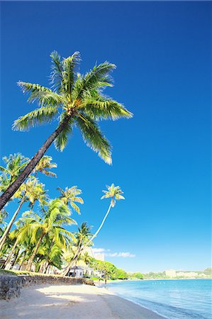 sandbar - Guam Stock Photo - Rights-Managed, Code: 859-08358180