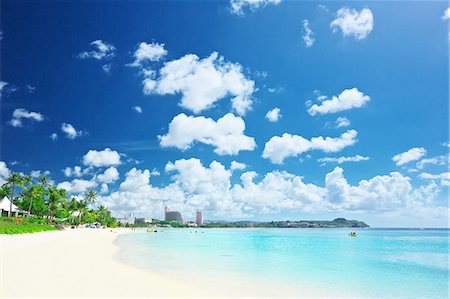 palm trees blue sky - Guam Stock Photo - Rights-Managed, Code: 859-08358209