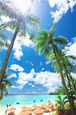 palm tree umbrella - Guam Stock Photo - Rights-Managed, Code: 859-08358201