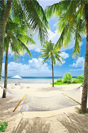 palm tree umbrella - Guam Stock Photo - Rights-Managed, Code: 859-08358217