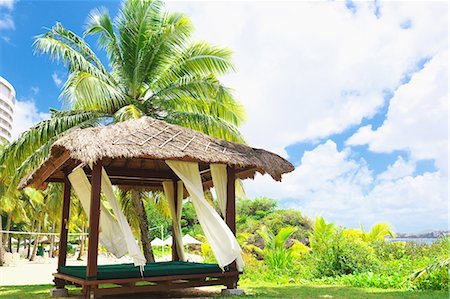 palm trees blue sky - Guam Stock Photo - Rights-Managed, Code: 859-08358225