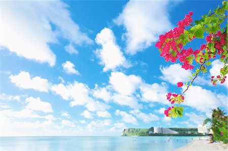 seaside hotels building - Guam Stock Photo - Rights-Managed, Code: 859-08358241