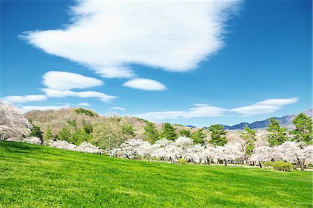 Nagano Prefecture, Japan Stockbilder - Lizenzpflichtiges, Bildnummer: 859-08358259