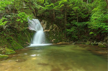 Yamaguchi Prefecture, Japan Stock Photo - Rights-Managed, Code: 859-08358390