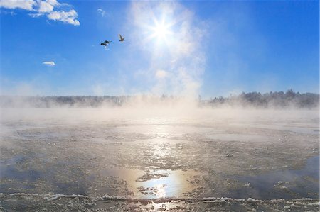 simsearch:859-07149923,k - Hokkaido, Japan Foto de stock - Con derechos protegidos, Código: 859-08358422