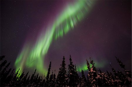 fairbanks - Alaska, USA Stockbilder - Lizenzpflichtiges, Bildnummer: 859-08358582