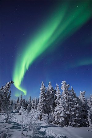 fairbanks - Alaska, USA Stockbilder - Lizenzpflichtiges, Bildnummer: 859-08358604
