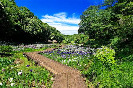 sidewalk rain - Kanagawa Prefecture, Japan Stock Photo - Rights-Managed, Code: 859-08358630