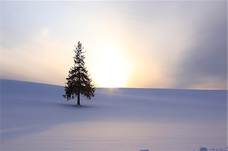 Hokkaido, Japan Foto de stock - Con derechos protegidos, Código: 859-08358694