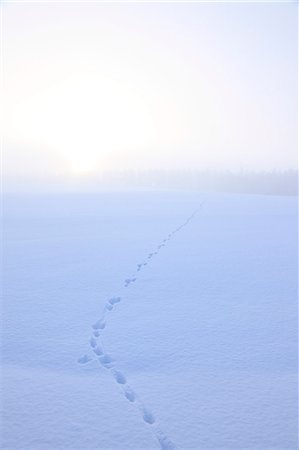simsearch:859-07149893,k - Hokkaido, Japan Photographie de stock - Rights-Managed, Code: 859-08358691