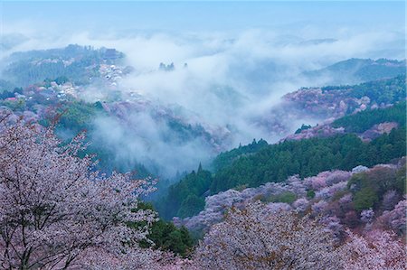 Nara Prefecture, Japan Photographie de stock - Rights-Managed, Code: 859-08358933