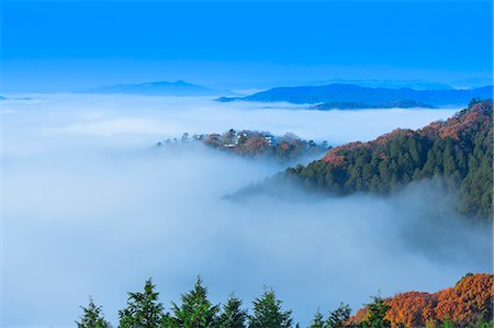 foggy trees - Okayama Prefecture, Japan Stock Photo - Rights-Managed, Code: 859-08358954