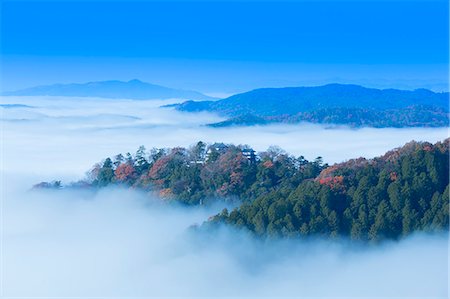 fog forest - Okayama Prefecture, Japan Stock Photo - Rights-Managed, Code: 859-08358955