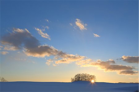 fields gold sunset - Hokkaido, Japan Stock Photo - Rights-Managed, Code: 859-08359180