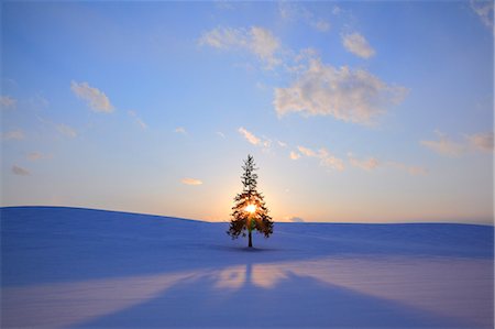 sky sunset - Hokkaido, Japan Stock Photo - Rights-Managed, Code: 859-08359261