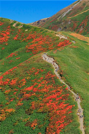 Yamagata Prefecture, Japan Foto de stock - Con derechos protegidos, Código: 859-08359302