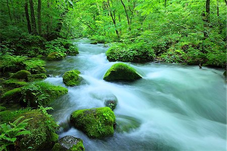 Aomori Prefecture, Japan Foto de stock - Con derechos protegidos, Código: 859-08359324