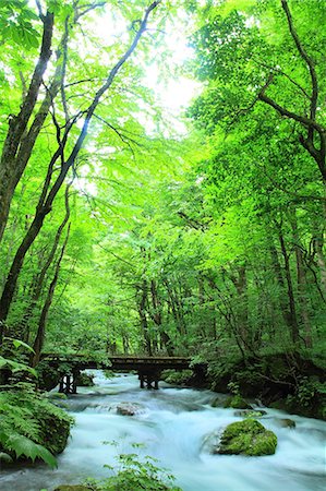 Aomori Prefecture, Japan Stock Photo - Rights-Managed, Code: 859-08359325