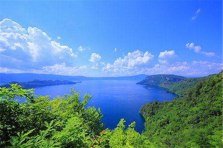 forest sky view - Aomori Prefecture, Japan Stock Photo - Rights-Managed, Code: 859-08359326