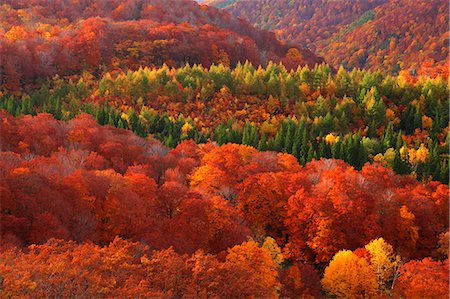 serenity nobody - Aomori Prefecture, Japan Stock Photo - Rights-Managed, Code: 859-08359336