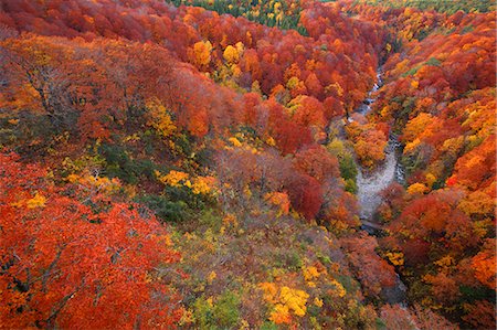 Aomori Prefecture, Japan Stock Photo - Rights-Managed, Code: 859-08359337