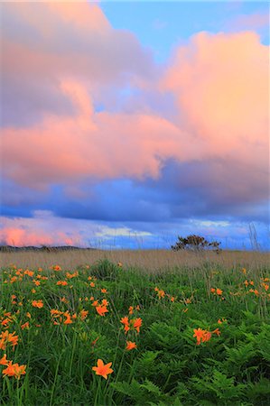 pale color sky - Aomori Prefecture, Japan Stock Photo - Rights-Managed, Code: 859-08359331