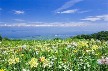 simsearch:622-07118049,k - Shiga Prefecture, Japan Stock Photo - Rights-Managed, Code: 859-08359393