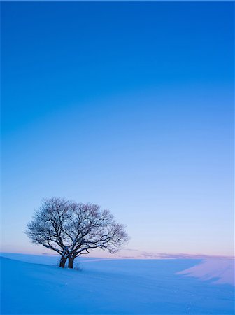 Hokkaido, Japan Stock Photo - Rights-Managed, Code: 859-08359405