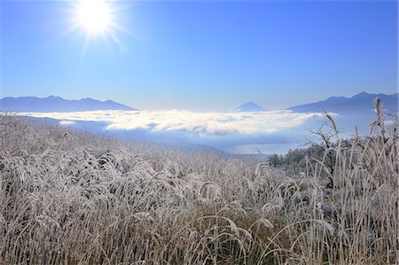 Nagano Prefecture, Japan Foto de stock - Con derechos protegidos, Código: 859-08359455