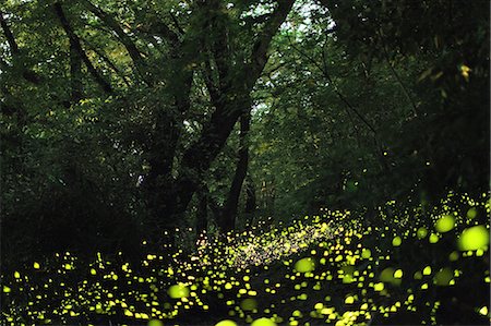 fluorescent (color) - Aichi Prefecture, Japan Foto de stock - Con derechos protegidos, Código: 859-08359475