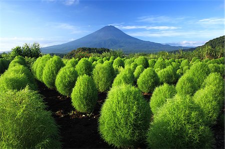 Yamanashi Prefecture, Japan Photographie de stock - Rights-Managed, Code: 859-08359574