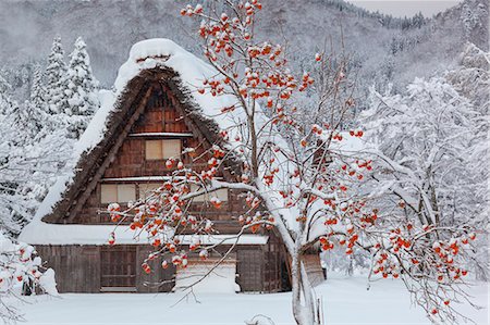 sharon - Gifu Prefecture, Japan Stock Photo - Rights-Managed, Code: 859-08359625