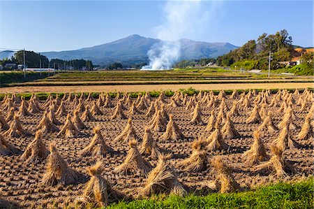 sun drying - Fukushima Prefecture, Japan Stock Photo - Rights-Managed, Code: 859-08359648