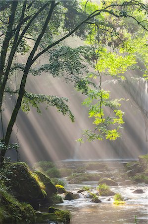 summer light - Kumamoto Prefecture, Japan Stock Photo - Rights-Managed, Code: 859-08359702