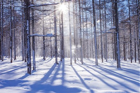 Nagano Prefecture, Japan Photographie de stock - Rights-Managed, Code: 859-08359716