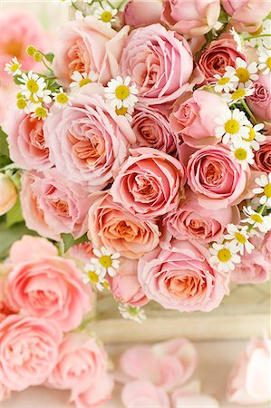 petal rose close up - Flower arrangement Stock Photo - Rights-Managed, Code: 859-08481625