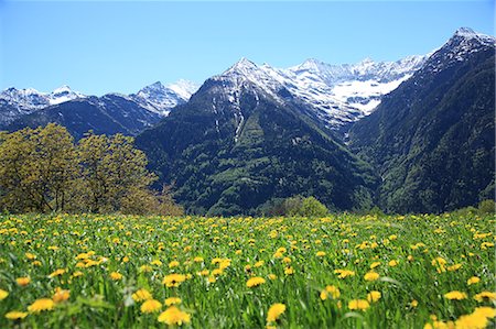 soleado - Switzerland, Canton Ticino, Leventina Valley, Sobrio Foto de stock - Con derechos protegidos, Código: 859-08769834