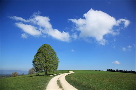 footpath - Switzerland, Canton Barn, Emmental Foto de stock - Con derechos protegidos, Código: 859-08769830