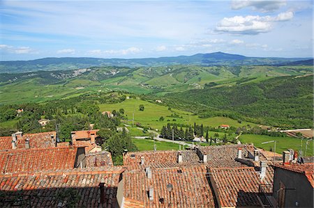 forest of trees in a row - Italy, Tuscany, Toscana, Orcia Valley, Val d'Orcia, UNESCO World Heritage Stock Photo - Rights-Managed, Code: 859-08769866