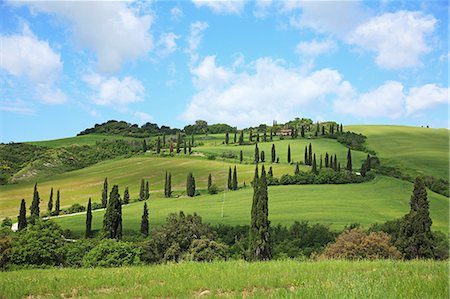 farmer outdoor clouds - Italy, Tuscany, Toscana, Orcia Valley, Val d'Orcia, UNESCO World Heritage Stock Photo - Rights-Managed, Code: 859-08769875