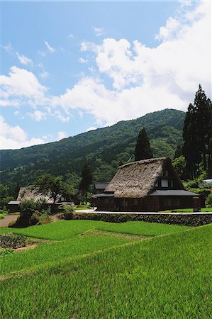 Traditional Japanese village in Gokayama, Toyama Prefecture, Japan Stock Photo - Rights-Managed, Code: 859-08805905