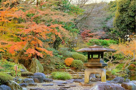 Autumn leaves in a city park downtown Tokyo, Japan Foto de stock - Con derechos protegidos, Código: 859-08993900