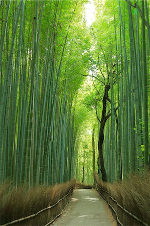 soga - Kyoto, Japan Stock Photo - Rights-Managed, Code: 859-09104565